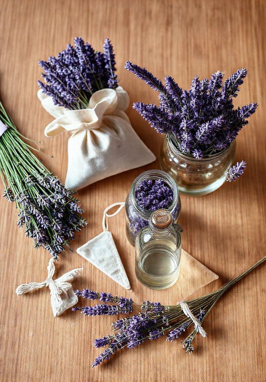 Photorealistic image showing the various uses of harvested lavender: bundles, sachets, dried flowers in a jar, and essential oil in a small bottle.